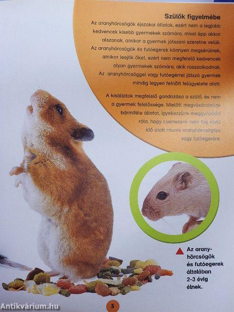 Aranyhörcsögök és futóegerek