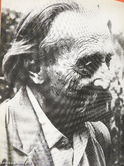 Varju nemzetség