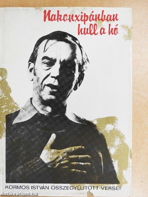 Nakonxipánban hull a hó