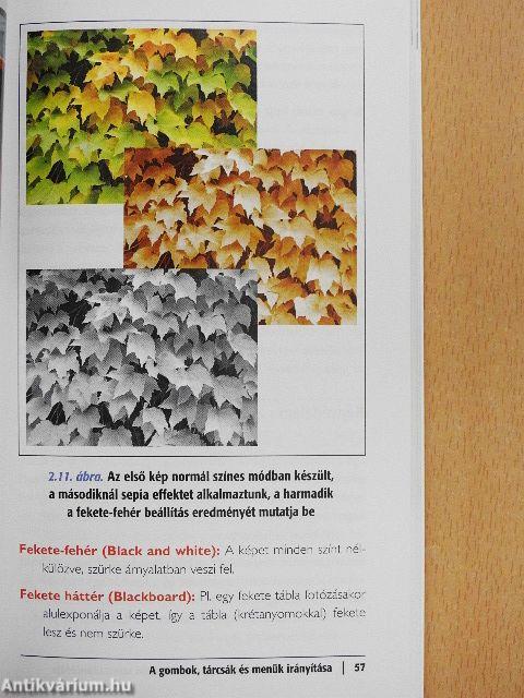 Digitális fényképezés dióhéjban