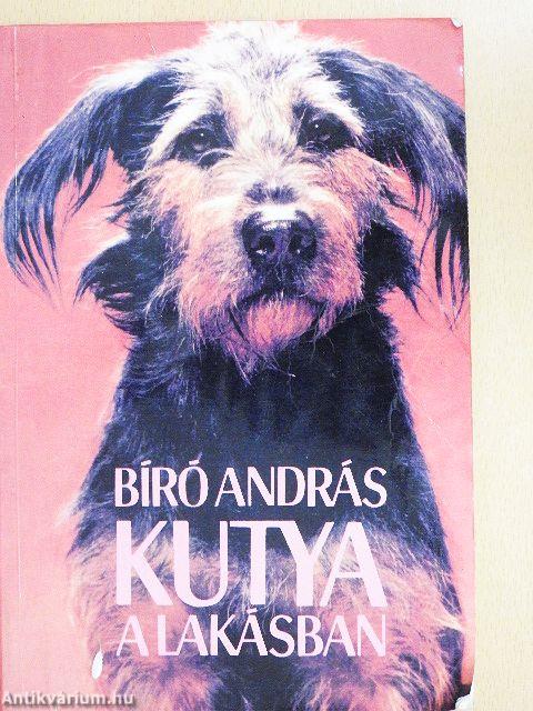 Kutya a lakásban