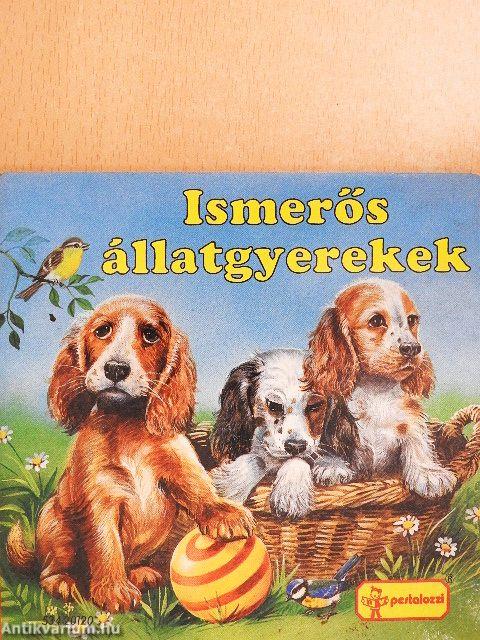 Ismerős állatgyerekek