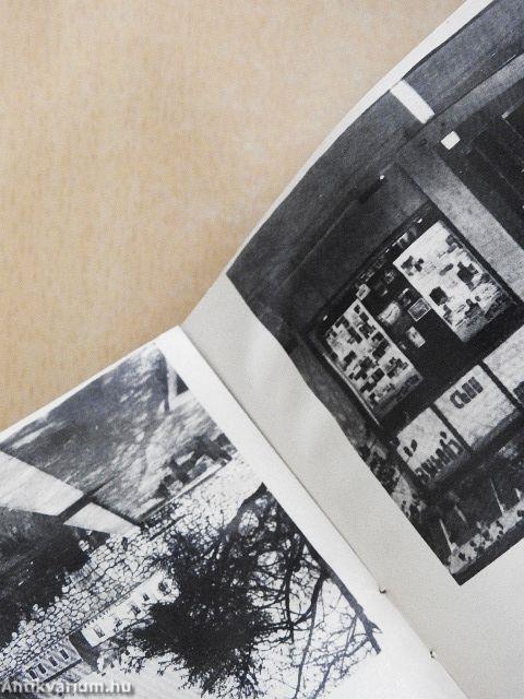 Tapolca és környéke