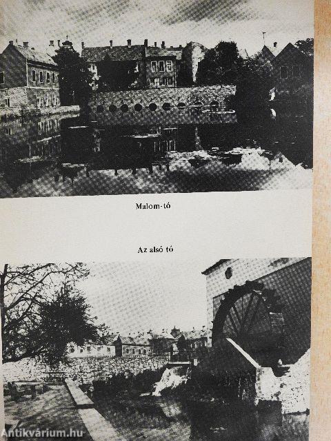 Tapolca és környéke