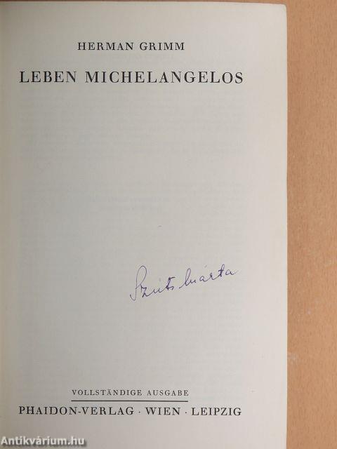 Leben Michelangelos