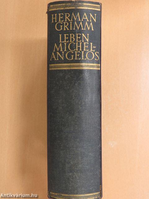 Leben Michelangelos