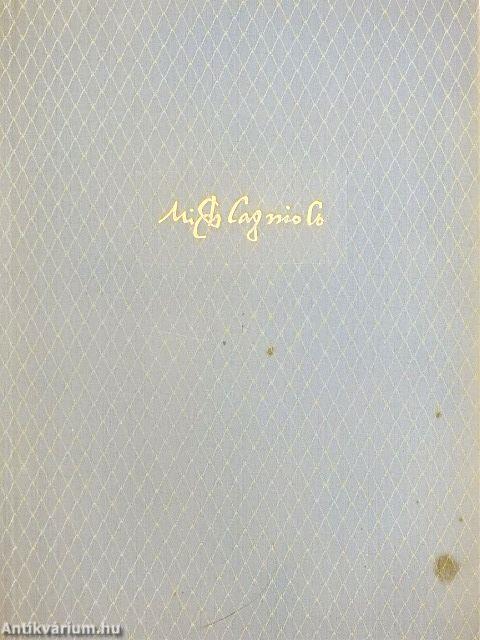 Michelangelo Buonarroti versei