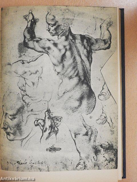 Michelangelo Buonarroti versei