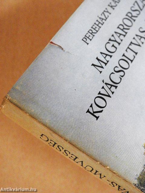 Magyarországi kovácsoltvas-művesség