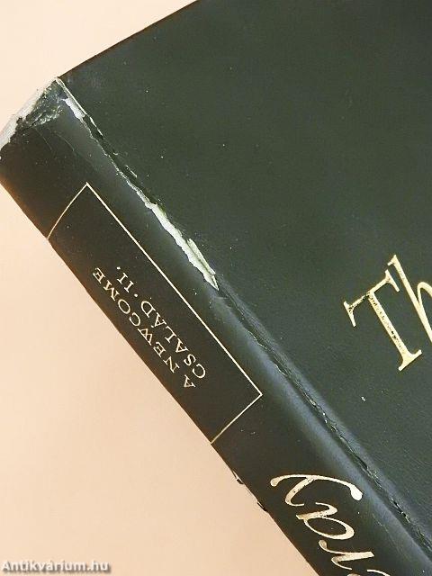 A Newcome család I-II.