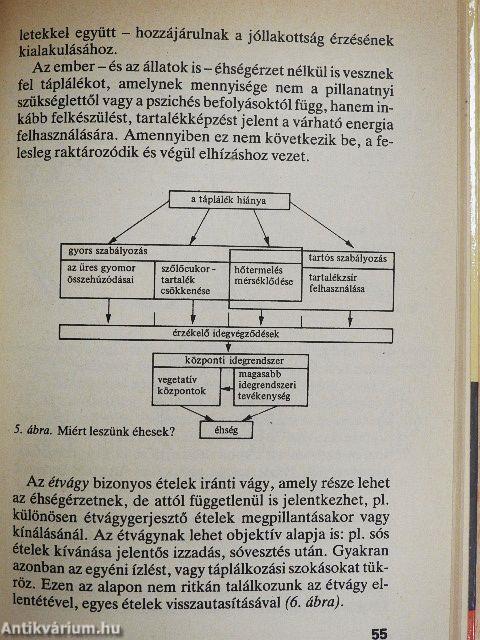 Az éhezéstől az elhízásig