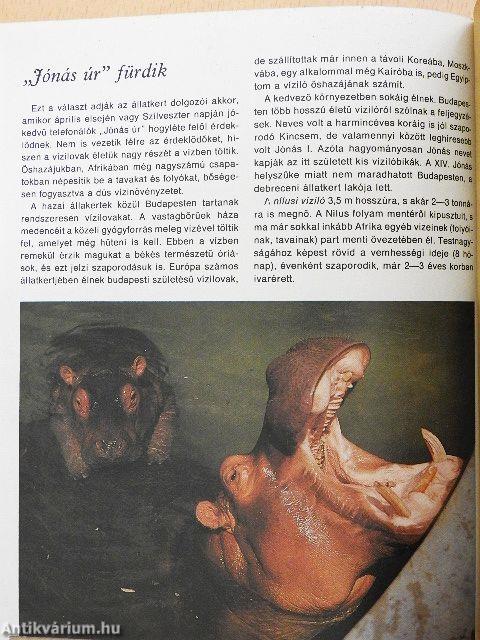 Állatkertjeink lakói