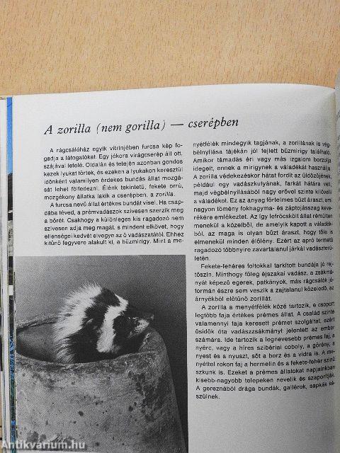 Állatkertjeink lakói