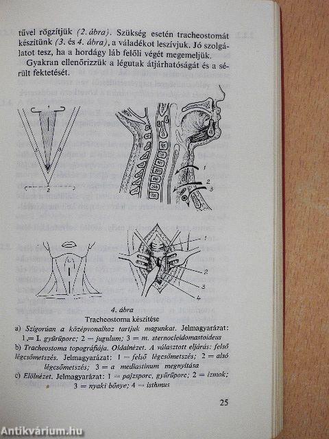 Sérültek ellátása háborúban és békében