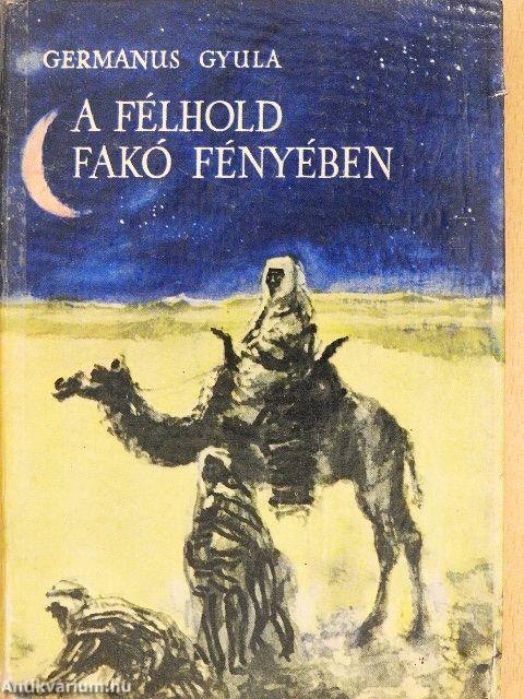 A félhold fakó fényében