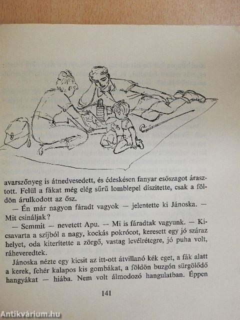 Volt egyszer egy kisfiú