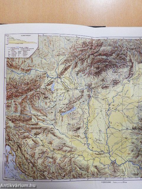 Magyar föld, magyar faj I.