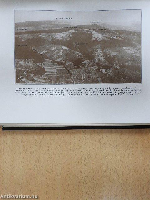 Magyar föld, magyar faj I.