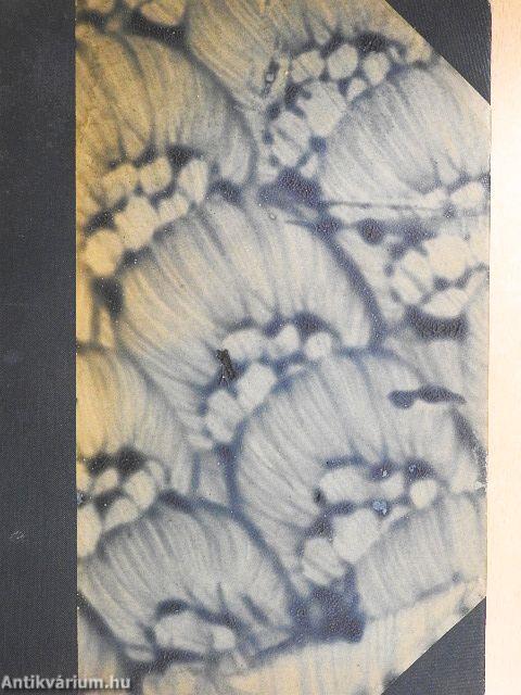 Nagy-Magyarországból Kis-Magyarországba