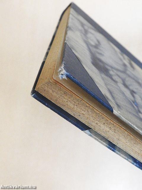 Nagy-Magyarországból Kis-Magyarországba