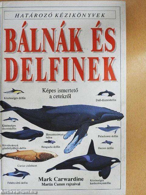 Bálnák és delfinek