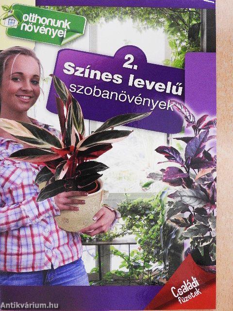 Színes levelű szobanövények