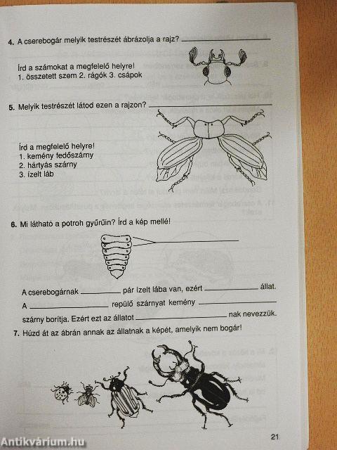 Természetismeret 5. - Munkafüzet