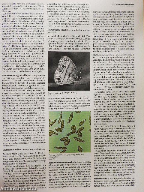 Britannica Hungarica Világenciklopédia 17.