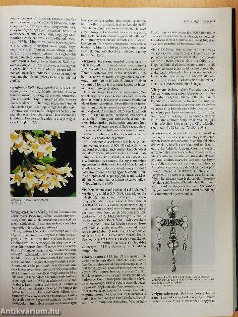 Britannica Hungarica Világenciklopédia 19.