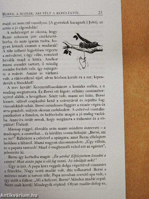 Az új kezdet