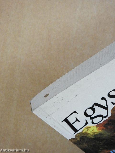 Egyszerűen Excel for Windows 97