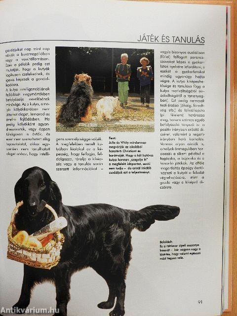 Értsük meg a kutyánkat!