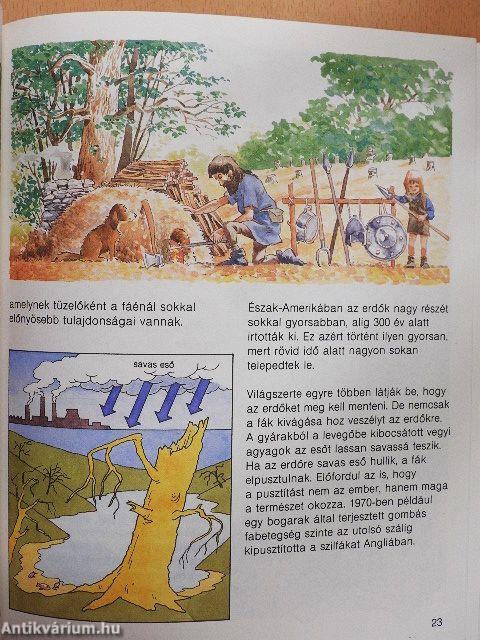 Az erdők 
