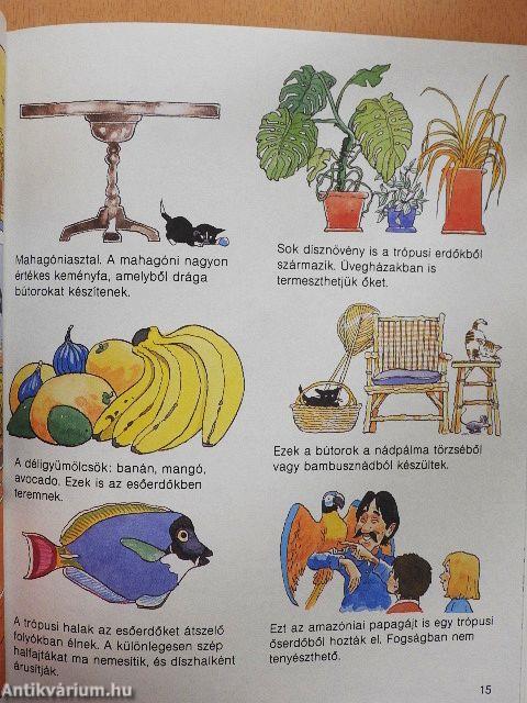Az erdők 
