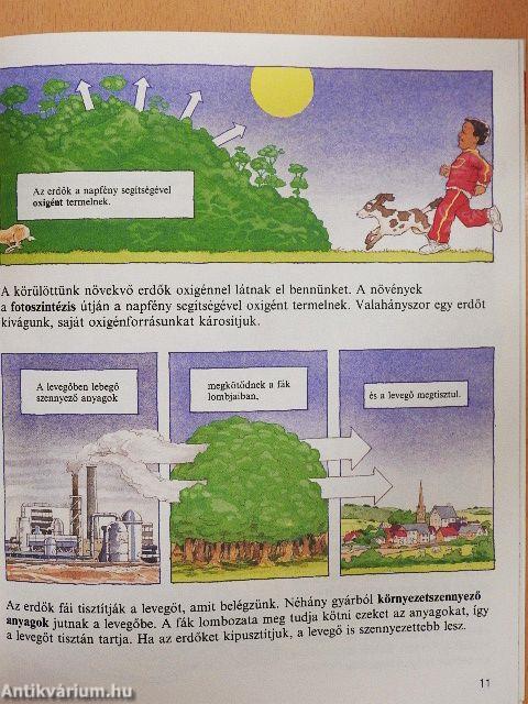 Az erdők 