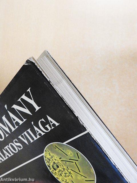 A tudomány csodálatos világa