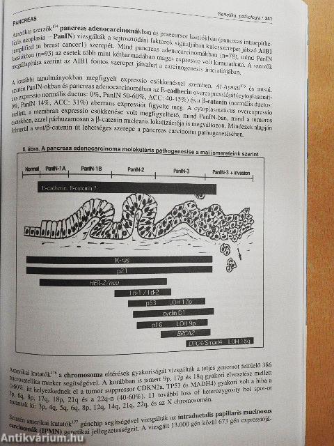 Gastro Update 2005