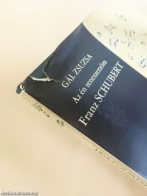 Franz Schubert - lemezzel