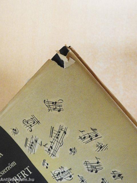 Franz Schubert - lemezzel