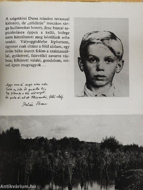 Egy keresztlevél hátára/Képeskönyv