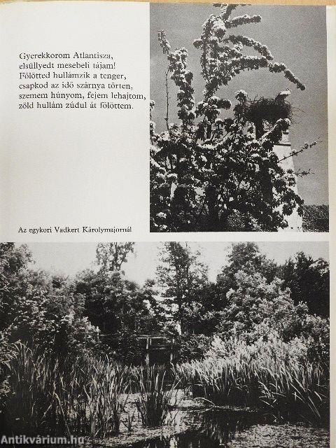 Egy keresztlevél hátára/Képeskönyv