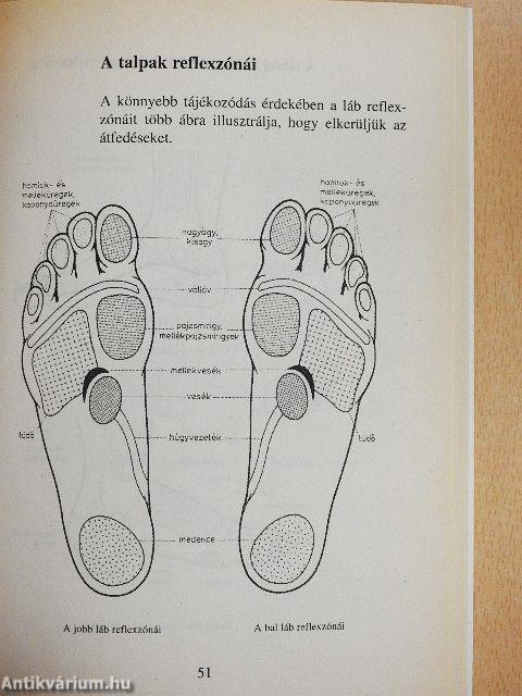 Tenyér- és lábmasszázs mindenkinek
