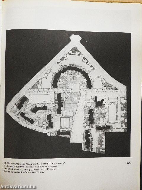 Apolló a demokráciában