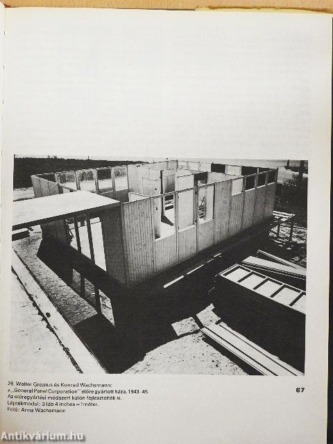 Apolló a demokráciában