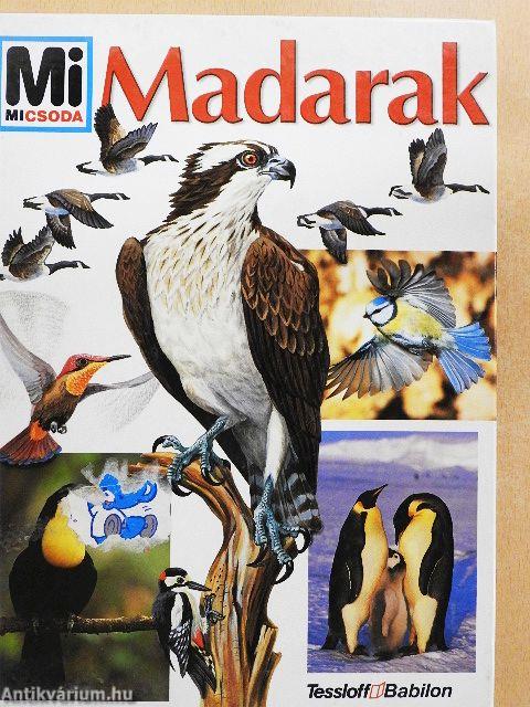 Madarak