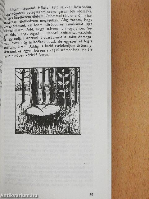 A megrepedt nádat nem töri el...