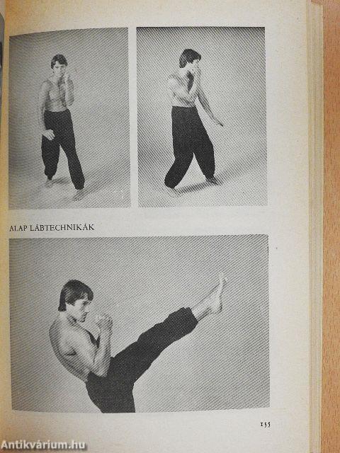 A kung fu királya