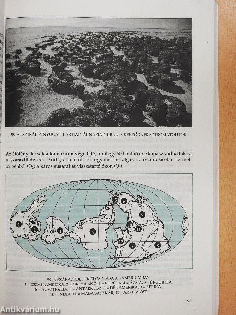 Általános természetföldrajz