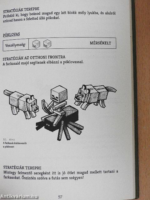 Minecraft-A túlélők titkos könyve