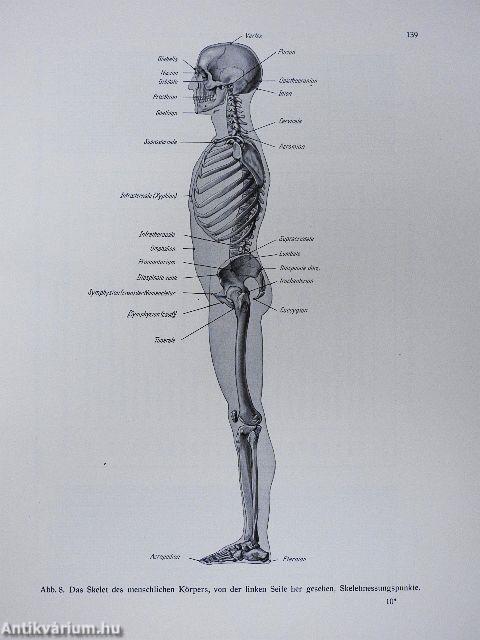 Topographische Anatomie des Menschen I-II/1-2.